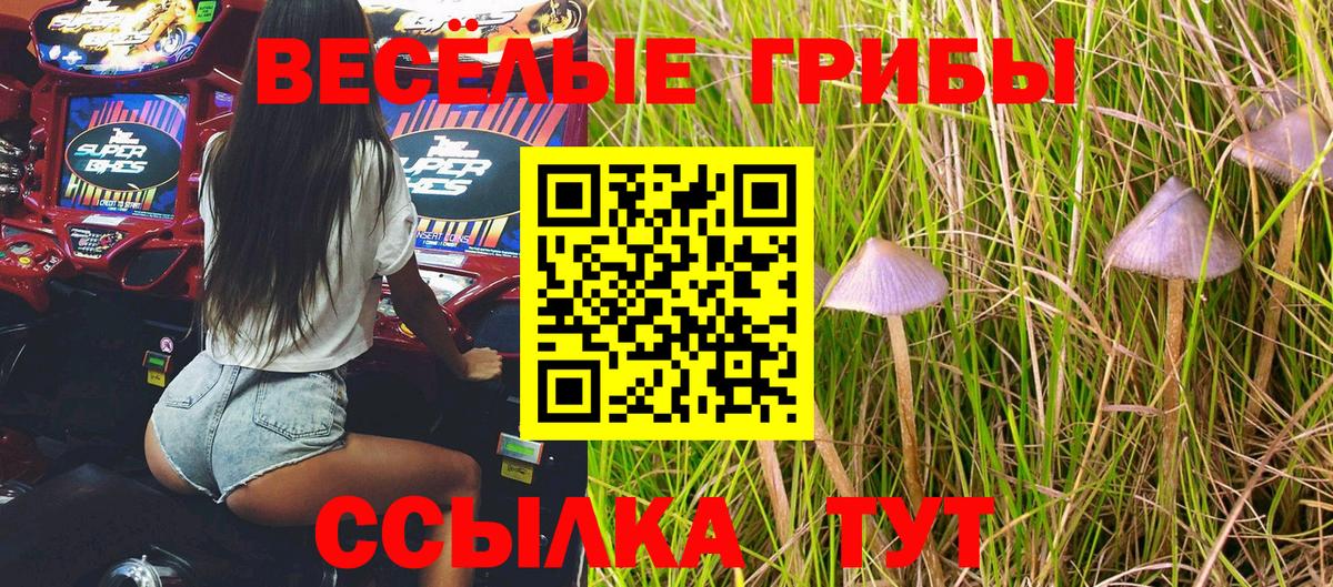 Галлюциногенные грибы Psilocybe Ростов Великий