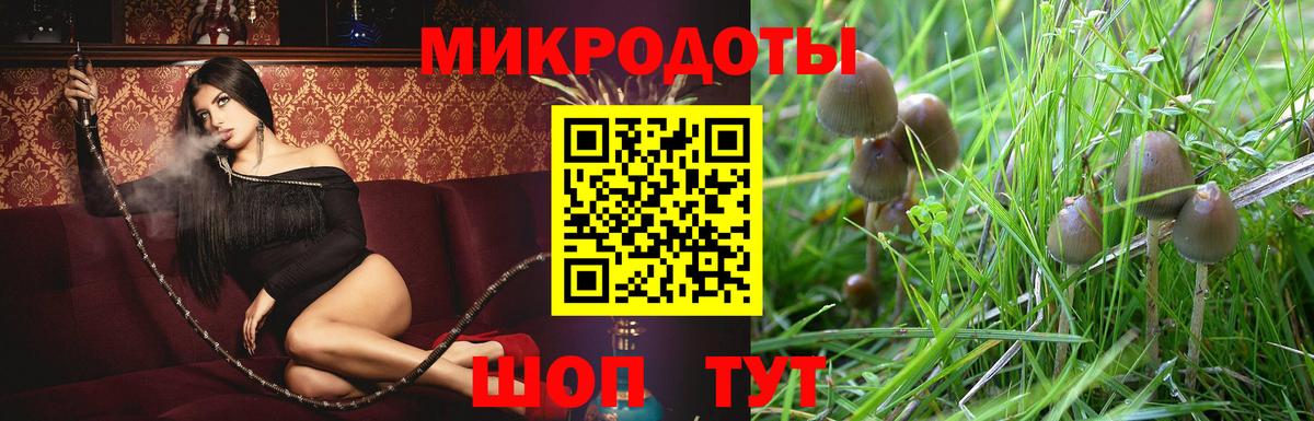 Галлюциногенные грибы Cubensis  Вход с VPN  Ростов Великий 